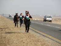 /international/2006Walvisbay/images/Loop2/thumbnails/loop2 034.jpg